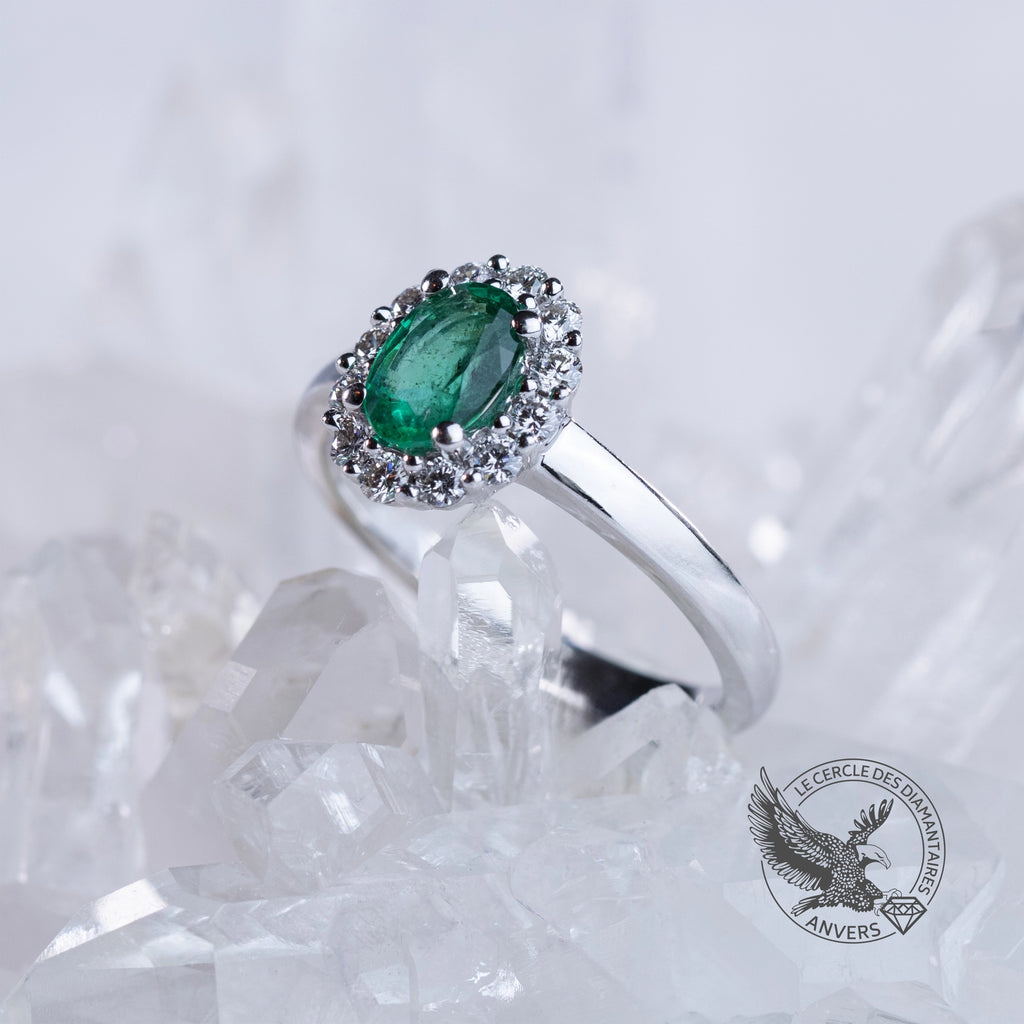 Bague Émeraude - Pothos