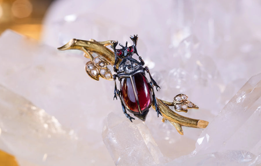 Broche Grenat - Scarabé