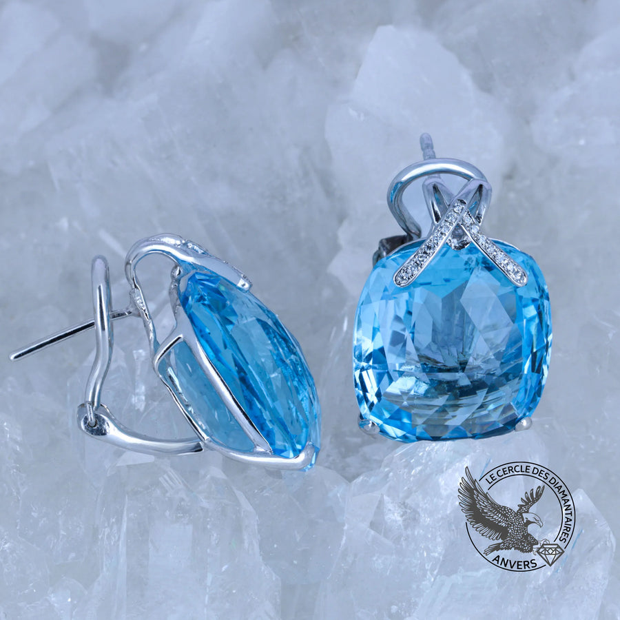 Puces Topaze - Cendrillon