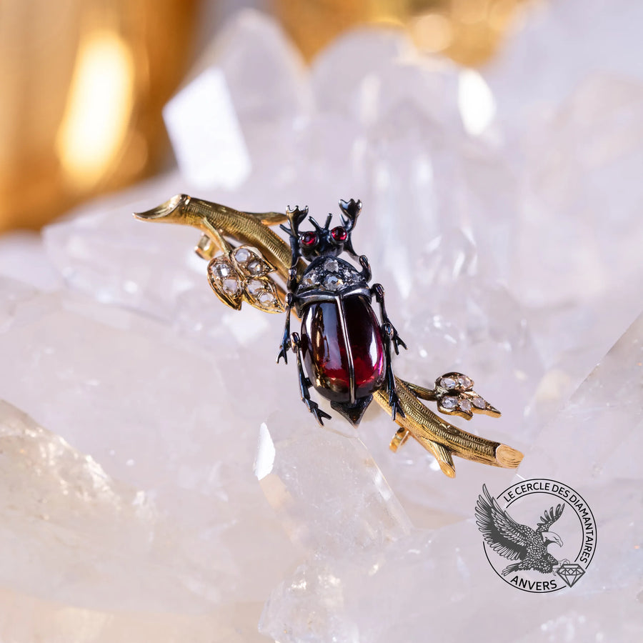 Broche Grenat - Scarabé
