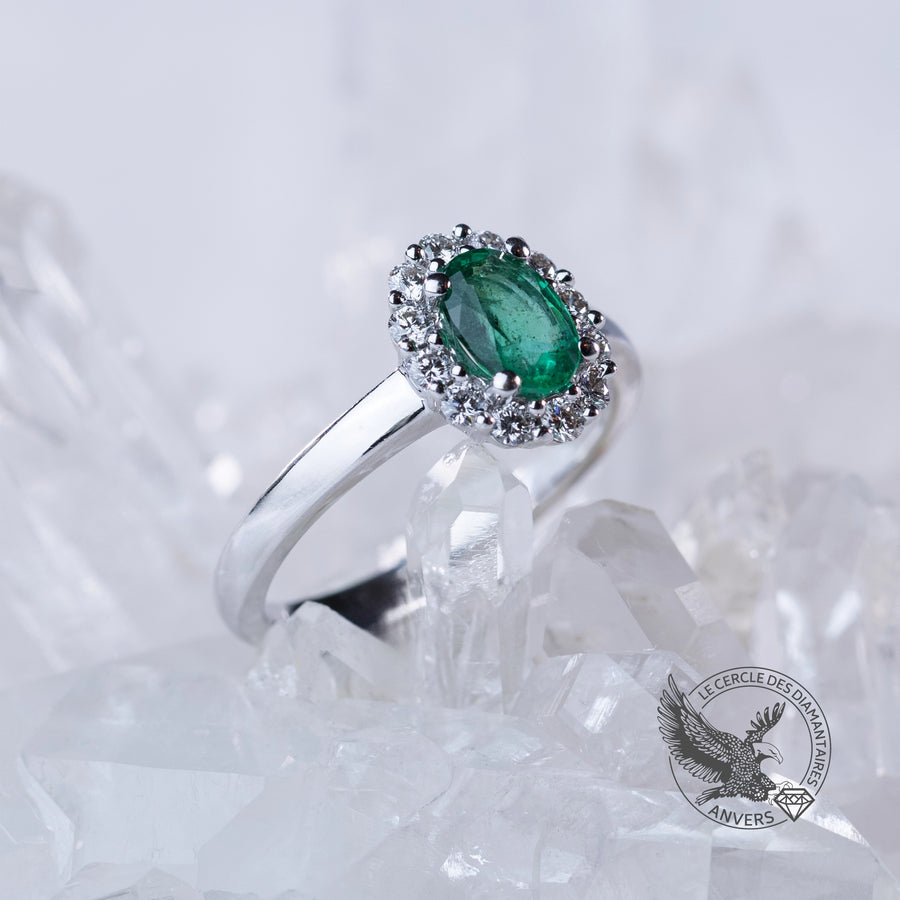 Bague Émeraude - Pothos