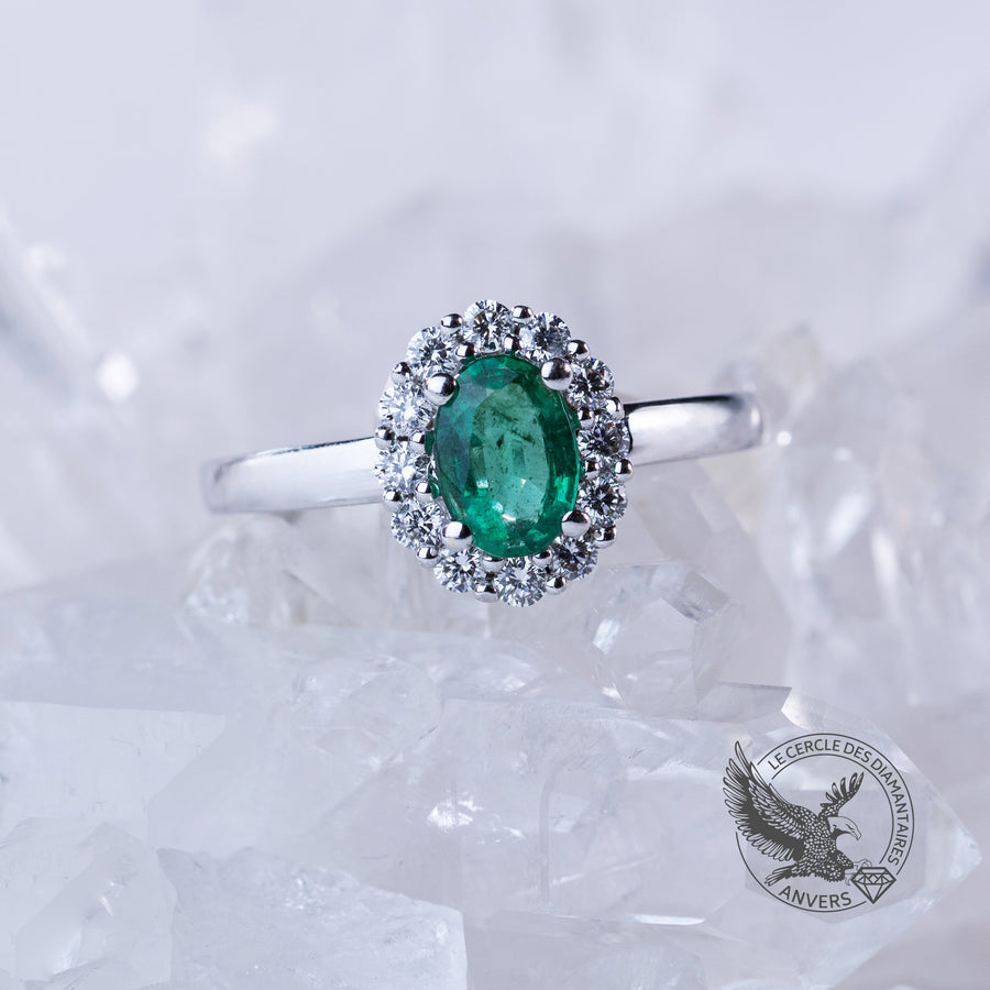 Bague Émeraude - Pothos