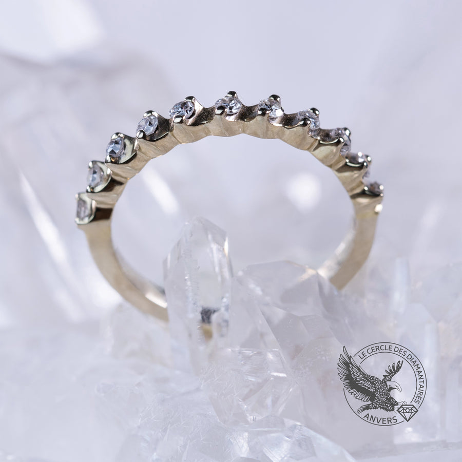 Alliance Diamant - Piquenia
