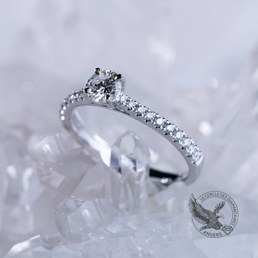 Alliance Diamant - Azalé