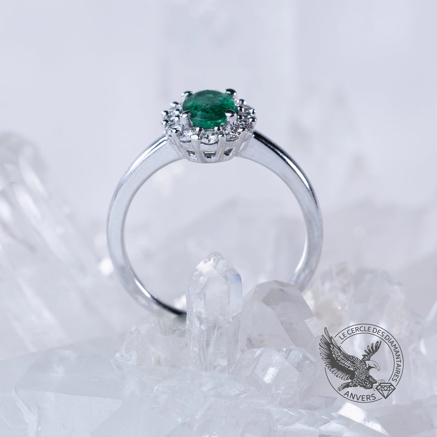 Bague Émeraude - Pothos