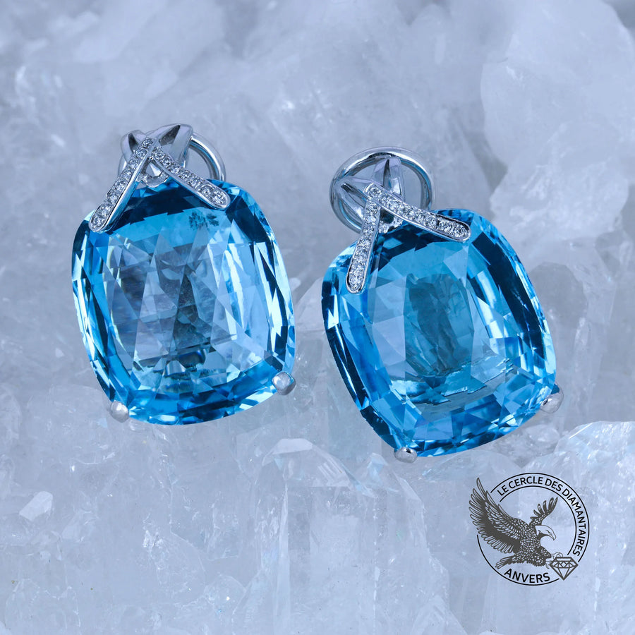 Puces Topaze - Cendrillon
